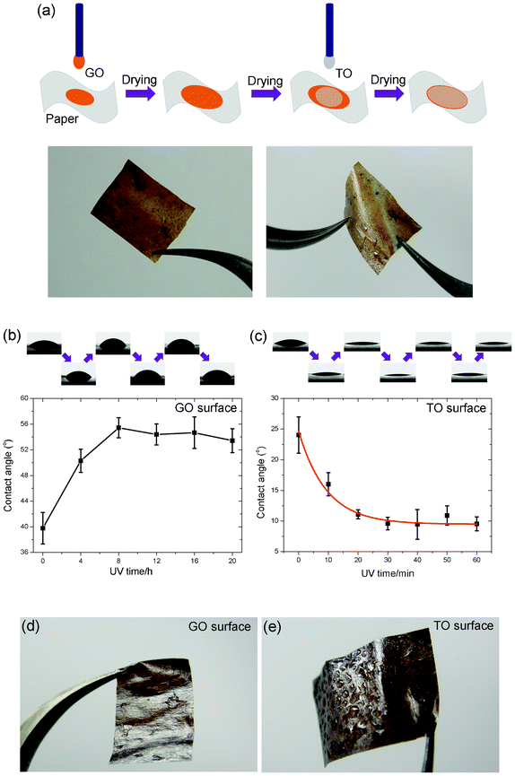 (a) Process schematics for fabricating the freestanding hybrid film of GO and TO sheets, and corresponding photographs (b) and (c) Dual tunable hydrophilicity of the hybrid film under UV irradiation. (d) and (e) Photographs of two UV treated surfaces of the humidified film.