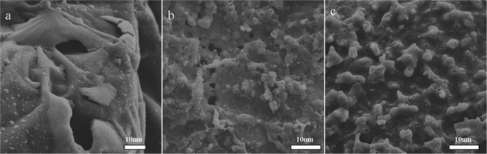 SEM images of surface morphology of the residue of PVA/MoS2 composites after calcination at 600 °C for 20 min in air: a) PVA0; b) PVA1; c) PVA3.