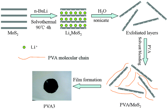 Illustration of the preparation process of the PVA nanocomposites.