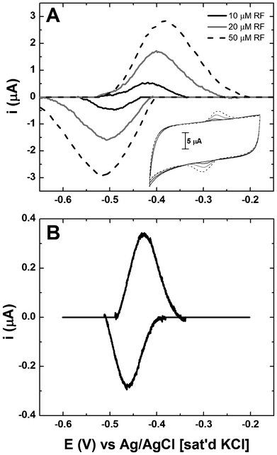 Riboflavin voltammetry associated with (A) abiotic systems containing known concentrations in the bulk and (B) associated with S. oneidensis MR-1 biofilms on TP-CNT. Data in panels A and B is shown with background subtraction to remove the effects of capacitance. Inset to panel A shows CV of riboflavin without background subtraction.