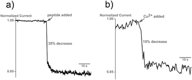 a) Interaction of the prion peptide with the nanopipette surface causes a decrease in the normalized ionic current. 20 μg of the prion peptide was added to the bath. b) Addition of 2 μM Cu2+ causes a further 15% drop in the ionic current, indicative of the interaction of copper with the prion peptide. No change in current is seen when copper is added to an unmodified nanopipette.