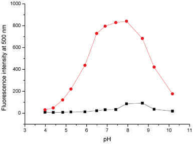 Fluorescence intensity at 500 nm of QPA (10 μM) in 25% ACN-HEPES (100 mM) with (red) and without (black) addition of Zn2+ (10 equiv.) as a function of pH.