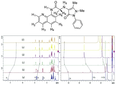 Partial 1H NMR spectra (400 MHz) of QPA (20 mM) in ACN-d3. (a) Free QPA; (b) QPA + 0.1 equiv. of Zn2+; (c) QPA + 0.3 equiv. of Zn2+; (d) QPA + 0.5 equiv. of Zn2+; (e) QPA + 0.8 equiv. of Zn2+; (f) QPA + 1.0 equiv. of Zn2+.