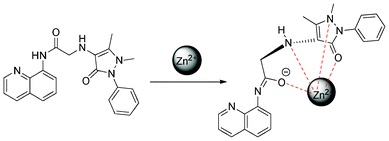 Proposed binding mechanism of QPA and Zn2+.