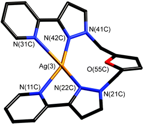 Structure of one of the three crystallographically independent complex cations in the crystal structure of [Ag(Lfur)](ClO4)·(MeCN)2/3.