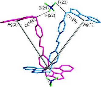 An alternative view of the complex cation of [Ag4(Lazo)4](BF4)4·2(C7H8) showing how the methylene groups of two of the ligands form CH⋯F interactions with tetrafluoroborate anions (dashed lines; see main text).