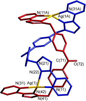 Structure of the dinuclear double helical complex cation unit of {[Ag2(Lbz)2](PF6)2}∞.