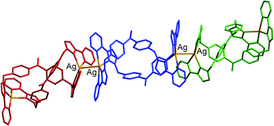 A view of {[Ag2(Lbz)2](PF6)2}∞ showing how the double helical complex cations associate into one-dimensional chains via Ag⋯Ag interactions (orange bonds).