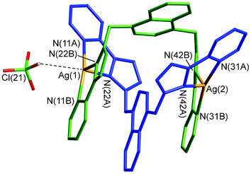 Structure of the double helical complex cation in the crystal structure of [Ag2(L14naph)2](ClO4)2 showing also the interaction of Ag(1) with one of the (disordered) perchlorate anions.