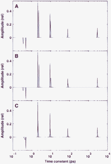 Reconstruction of a sparse distribution containing both positive and negative peaks. The true distribution is indicated by red lines. The noise level on the simulated time-domain data was δ = 10−3. Panel A: reconstruction from a single simulation with regularization parameter of λ = 3 × 10−4. Panels B and C: average of 100 reconstructions with λ = 3 × 10−4 (B) and λ = 3 × 10−5 (C).