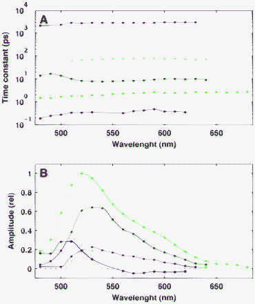 Panel A: Traces of the statistical mean of the time constants corresponding to the different strips in Fig. 7. Panel B: Decay-associated spectra of each component in panel A.