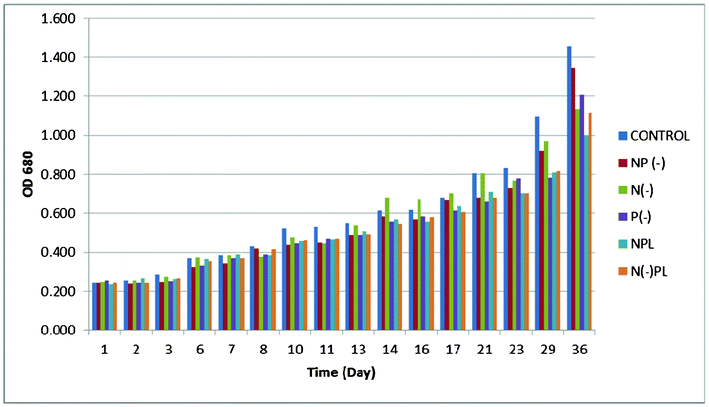 Optical density of A. platensis at different culture media.