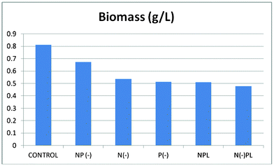 Dry weight/biomass of Spirulina at different culture media.