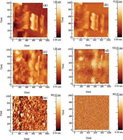 AFM images of (a) [Ni(dmit)2](CTAB)2, (c) POMA/[Ni(dmit)2](CTAB)2, (e) POMA; and EFM images of (b) [Ni(dmit)2](CTAB)2, (d) POMA/[Ni(dmit)2](CTAB)2, (f) POMA LB films deposited at 35 mN m−1.