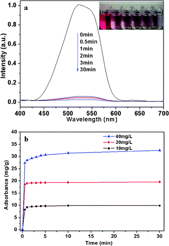 (a) Absorption spectra and photographs of 350 mL of 20 mg L−1 acid fuchsine aqueous solution in the presence of 350 mg of NHS in different time. (b) Time profile of acid fuchsine removal with NHS; The concentration of NHS adsorbent was 1.0 g L−1; the initial acid fuchsine concentrations ranged from 10 to 40 mg L−1.