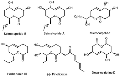 Some selected examples of 10-membered lactones.