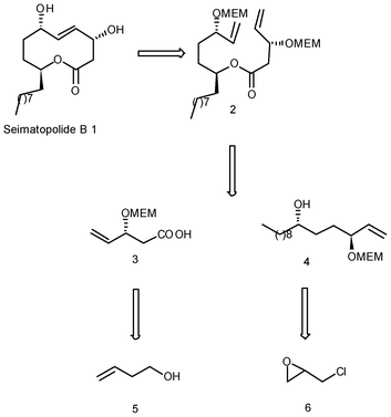 Retrosynthetic route to seimatopolide B.