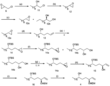 Synthesis of the alcohol fragment 4. Reagents and conditions: (a) Octylmagnesium bromide, THF, CuI, −40 °C, 12 h; (b) KOH, CH2Cl2, rt, 14h; (c) S,S-salen-Co-(OAc) (0.5 mol %), dist. H2O (0.55 equiv), isopropyl alcohol, 0 °C, 14h, (45% for 12a, 43% for 12b); (d) Allylmagnesium bromide, ether, CuI, −20 °C, 2h, 89%; (e) (i) TBDMSCl, imidazole, CH2Cl2, 0 °C to rt, 16h, 90%; (ii) m-CPBA, CH2Cl2, 0 °C to rt, 1h, 80%; (f) S,S-salen-Co-(OAc) (0.5 mol %), dist. H2O (0.55 equiv), isopropyl alcohol, 0 °C, 16h, (48% for 14a, 39% for 14b); (g) (i) PivCl, Et3N, cat. DMAP, rt, 2h; (ii) MsCl, Et3N, DMAP, 0 °C to rt, 1h; (iii) K2CO3, MeOH, rt, overnight (68% for three steps); (h) (CH3)3SI, n-BuLi, THF, 4h, 81%; (i) MEMCl, DIPEA, CH2Cl2, 14h, 80%; (j) TBAF, THF, 3h, 81%.