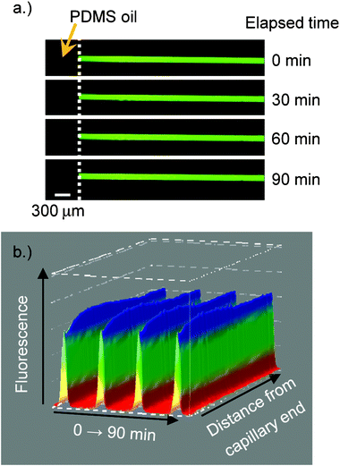 Effectiveness of PDMS oil sealing of the capillary over different time periods.