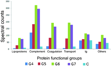 The functional classification of human plasma proteins, in high plasma concentrations, associated with dendrimers of different generations.