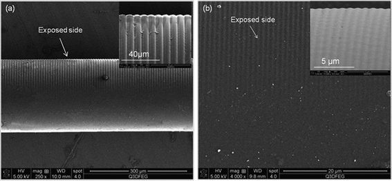 SEM images of the photoembossed bi-component fibre: a) Λ = 8 μm and (b) Λ =1 μm.