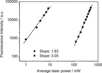 Fluorescence intensity vs. power for 2-AP in water following non-resonant excitation at 584 nm (circles) and 900 nm (squares). The solid line shows the best straight line fit to the data (R = 99.9%).