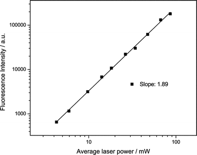 Fluorescence intensity vs. power for tC (oligo 1) following non-resonant excitation at 800 nm. The solid line shows the best straight line fit to the data (R = 99.9%).