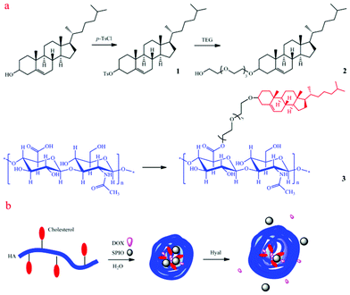 Schematic illustration of (a) synthesis of cholesterol-conjugated hyaluronic acid (ch-HA) and (b) the formation of DOX/SPIO-loaded ch-HA micelles and enzyme-triggered release. Dox: doxorubicin; SPIO: superparamagnetic iron oxide; Hyal: hyaluronidase.