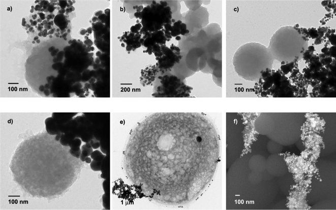 The formation of organic microspheres under different conditions. TEM image of microspheres produced using: a) 6 mL of beet juice, 20 min, 100 °C; b) 3 mL of beet juice, 20 min, 100 °C; c) 6 mL of beet juice, 10 min, 100 °C; d) 6 mL of beet juice, 60 min, 100 °C; e) 6 mL of beet juice, 20 min, 60 °C; SEM image of e) 6 mL of beet juice, 20 min, 100 °C.