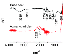 FTIR spectra of dried beet and as-prepared Ag nanoparticles.