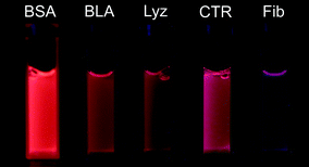 Photograph of aqueous solutions for five of the proteins used here (concentration 35.5 mM) upon excitation at λex = 365 nm.