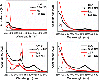 UV-vis spectra of the proteins and protein-AuNCs used in this study. For all spectra, protein concentration was 3.6 mM.