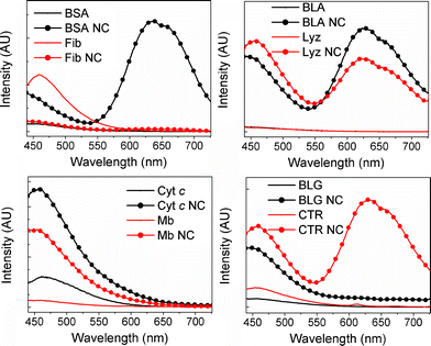 Fluorescence spectra of proteins and protein-nanoclusters upon excitation at 370 nm. Protein concentration was 3.6 mM for all samples (in the top right panel, BLA and Lyz are completely overlapping).