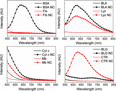 Fluorescence spectra of proteins and protein-nanoclusters upon excitation at 495 nm. Protein concentration was kept constant at 3.6 μM (in the top right panel, BLA and Lyz are completely overlapping).