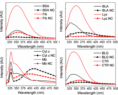 Trp emission spectra of proteins and protein-nanoclusters upon excitation at 295 nm. Protein concentration was 3.6 μM for all samples.