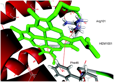 Details of π–π and cation–π interactions for the HEM1001 of hemoglobin from midge larva Propsilocerus akamusi (PDB ID code 1x3k). The interactions are marked with red lines (π–π interactions: HEM1001:C—Phe46, HEM1001:D—Phe46; cation–π interactions: HEM1001:D—Arg101:NE).