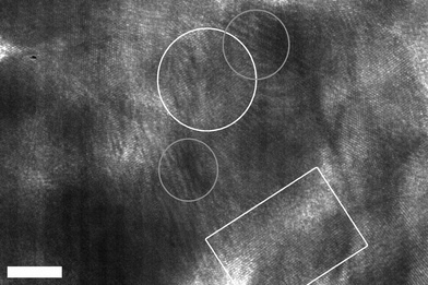 HRTEM analysis (scale bar = 5 nm) of the center of a gold nanoshell showing representative single-crystalline regions outlined in white and Moiré patterns outlined in grey.