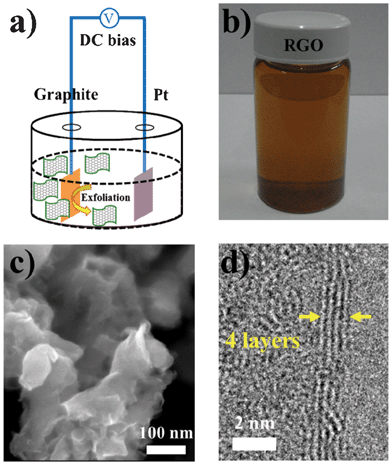 (a) Schematic illustration for the EC exfoliation of graphite. (b) Photograph of the dispersed RGO sheets in a DMF solution. (c) SEM image of the exfoliated RGO sheets. (d) Typical TEM image for an exfoliated few-layer RGO.