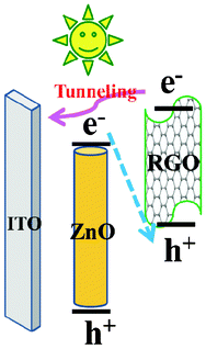 The possible schematic process of photoexcited electron–hole transport in the RGO photosensitized ZnO nanoelectrode.