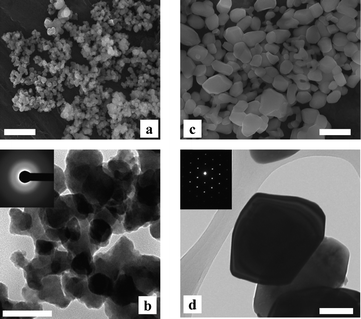 SEM (top) and TEM (bottom) images of CoWO4 particles processed at 200 °C (a, b) and 500 °C (c, d). Inserts: selected area electron diffraction patterns. Scale bars: 500 nm for SEM and 100 nm for TEM images.