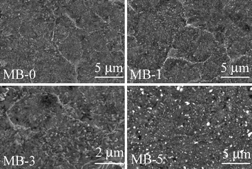 Microstructure (revealed via SEM imaging of polished surfaces after chemical etching with 2 vol% HF solution) of the GCs heat treated at 900 °C for 300 h.