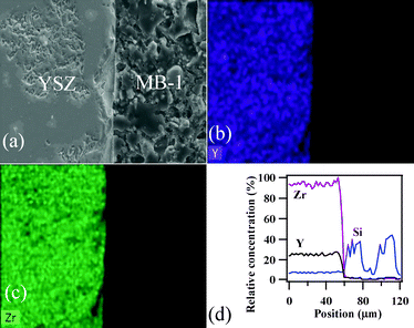 (a) SEM image, EDS element mapping for (b) Y and (c) Zr, and (d) concentration profiles at the GC–MB–1/8YSZ interface heat treated at 900 °C for 300 h in air atmosphere.