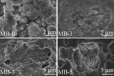 Microstructure (revealed via SEM imaging of polished surfaces after chemical etching with 2 vol% HF solution) of the GCs heat treated at 900 °C for 1 h.