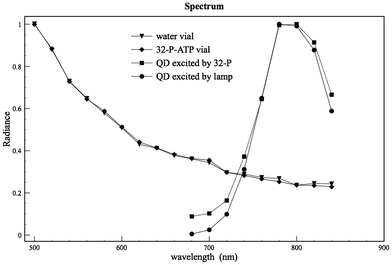 The spectra of both source and reference water vials show a typical shape of the Cerenkov spectrum3,17 and this allows us to rule out any possible bias during the measurements. The comparison between the emission spectrum obtained by exiting the QDs with the Cerenkov 32P source and with an external lamp shows that both spectra are almost the same at the QD emission peak (around 800 nm). The spectra are slightly different at smaller wavelengths (660–720 nm) because of a fraction of the Cerenkov component.