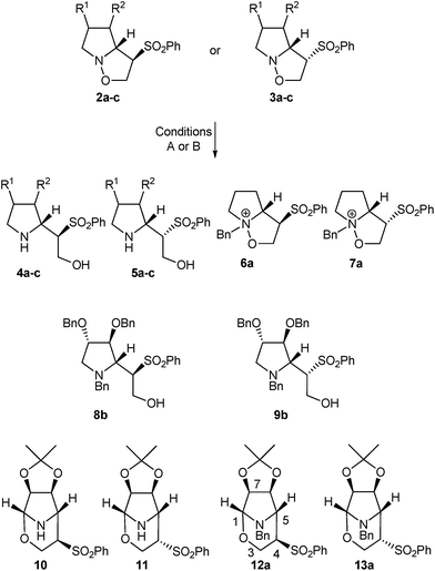 Ring opening reaction of isoxazolidines 2a–c and 3a–c (details of reaction conditions A or B are given in Table 1).