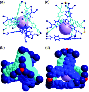 Ball-and-stick and space-filling models of Cage B with a pseudo-C3 point symmetry. Top view of (a) the ball-and-stick and (b) space-filling models. Side view of (c) the ball-and-stick and (d) space-filling models. Color code: BTB, blue and cyan; cobalt, dark blue; μ3-O, red; dummy ball representing the cavity of Cage B, violet.