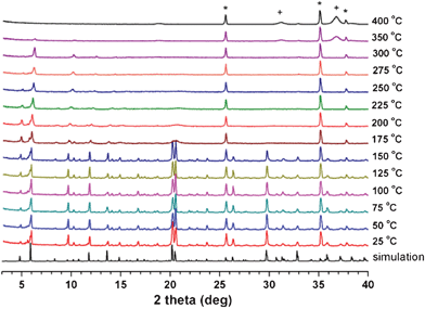 VT-PXRD patterns of as-synthesized 1. Peaks with crosses and stars represent Co3O4 and the α-Al2O3 of the high-temperature sample holder, respectively.