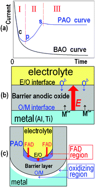 Schematic diagrams of the current-time curves of BAO and PAO (a), the growing manner of BAO (b), and the pore development in PAO (c).6,9–11,19–21