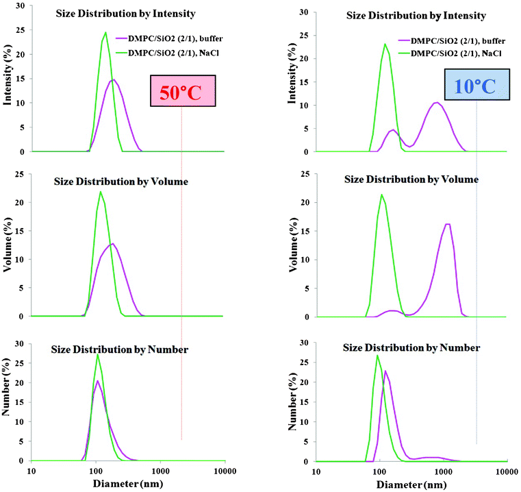 DLS analyzed by intensity, volume and number average for low (5 mM NaCl) and high (PBS buffer) ionic strength suspension with SASUV/SASiO2 = 2/1 at 50 °C and 10 °C.