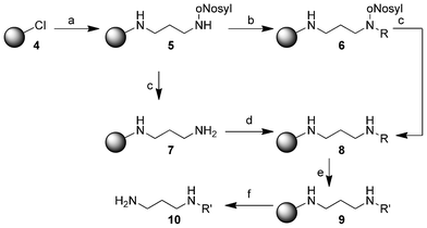 Synthesis of the substituted diamines 10 on 2-chlorotrityl chloride resin (4). (a) N-(3-Aminopropyl)-2-nitrobenzenesulfonamide (3.00 equiv.), DIPEA (3.00 equiv.), dry CH2Cl2, 15 h; (b) alkyl halide (6.00 equiv.), DBU (6.00 equiv.), DMF, 15 h; (c) 2-mercaptoethanol (10.0 equiv.), DBU (5.00 equiv.), DMF, 2 h; (d) carboxylic acid (5.00 equiv.), HOBt (5.00 equiv.), DIC (5.00 equiv.), DMF, 15 h; (e) dimethylamine-borane adduct (5.00 equiv.), Wilkinson's catalyst (0.10 equiv.), dry CH2Cl2, 15 h; (f) 5% TFA in CH2Cl2, 15 h. All reactions were conducted at room temperature. For R, R′ see Table 1 and Table 2.